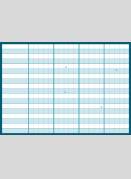 Flight Path Data Summary Sheet
