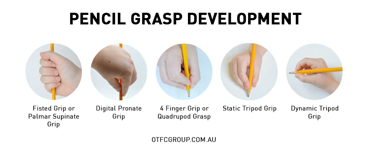 Pencil grip development visual showing the 5 stages of pencil grip development: Finger Grip, Digital Pronate Grip, 4 Finger Grip, Static Tripod Grip, Dynamic Tripod Grip 