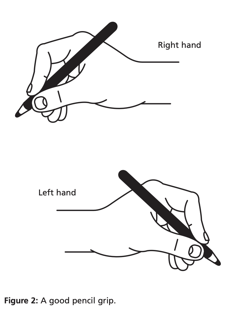 Pencil grip illustration showing right handed and left handed dynamic tripod pencil grip.  