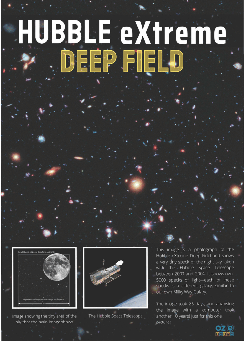 Webinar downloads Year 6 poster