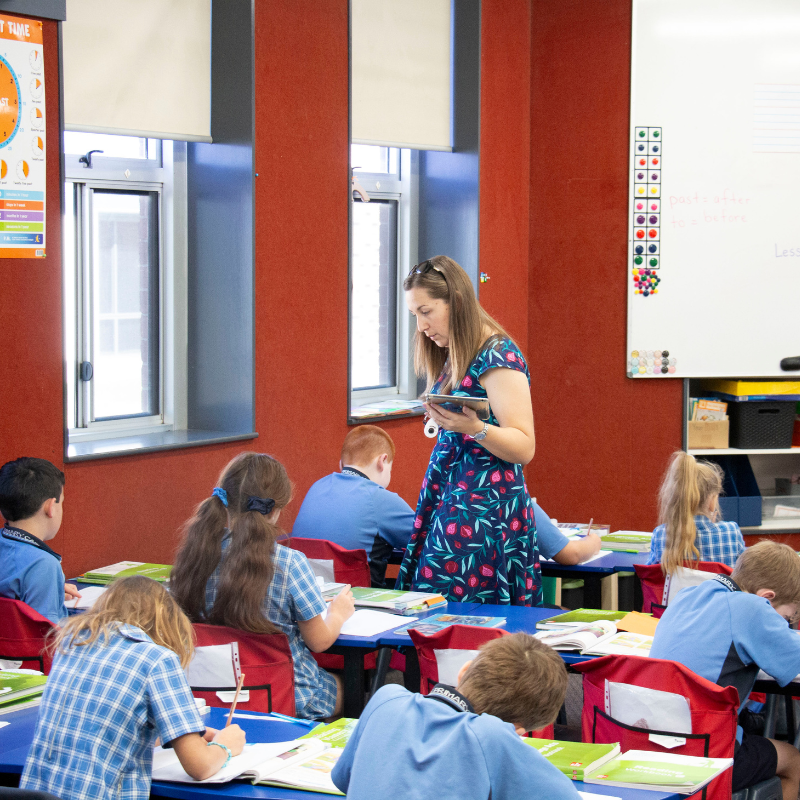 How Spelling Mastery Aligns with the New Zealand English Curriculum